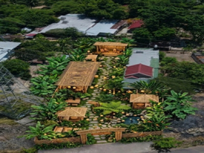 MẪU THIẾT KẾ CAFE SÂN VƯỜN: GIẢI PHÁP KIẾN TẠO KHÔNG GIAN SỐNG XANH, THƯ GIÃN VÀ ĐẲNG CẤP 2026  